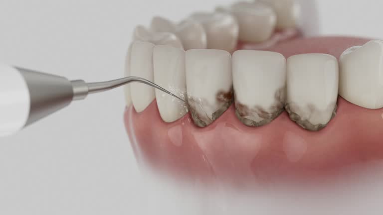Reliable Dental contractor in Capac, MI by Dentist Open Now